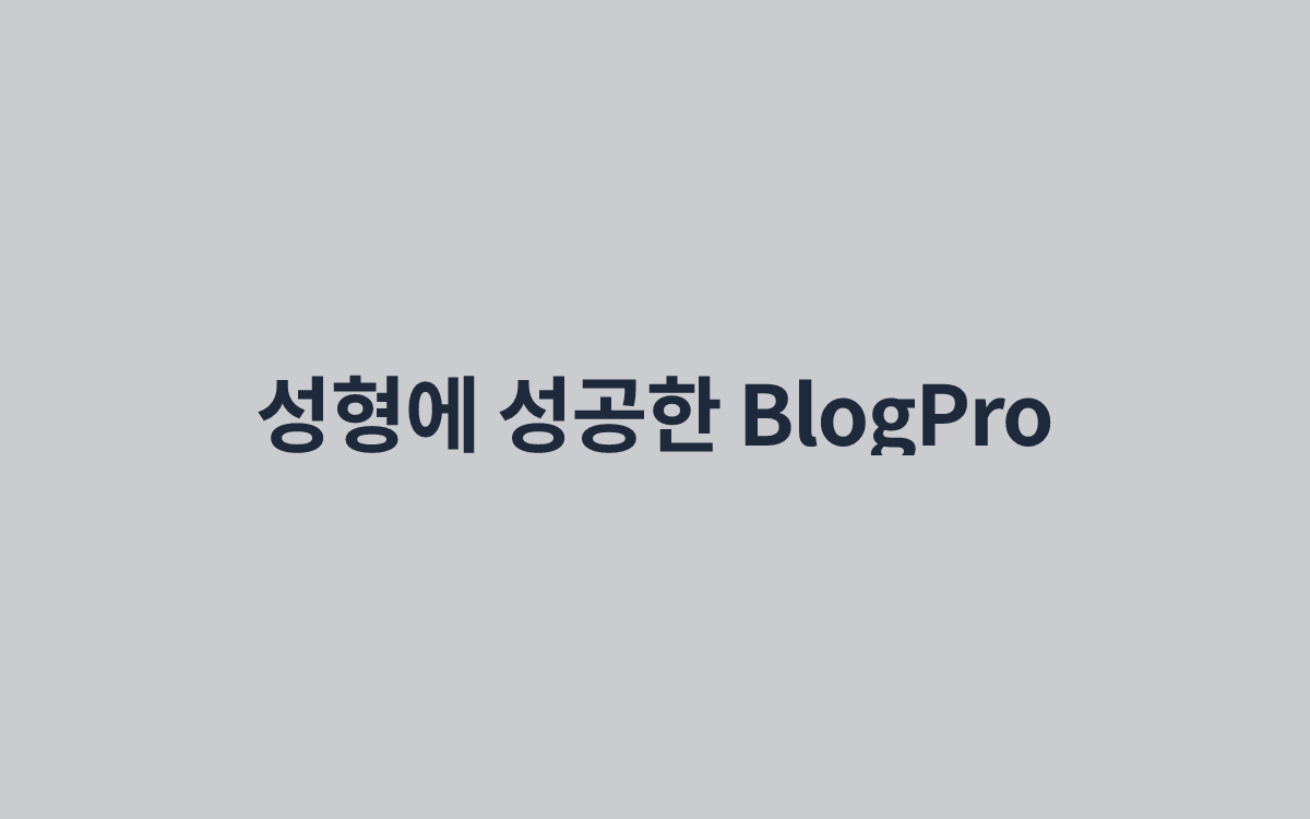 성형에 성공한 BlogPro